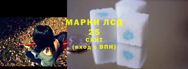 прущие грибы Алзамай