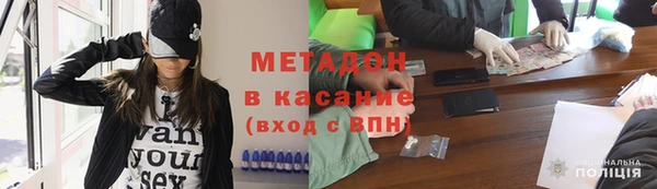 прущие грибы Алзамай