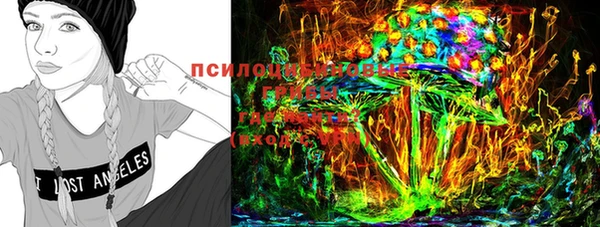 прущие грибы Алзамай