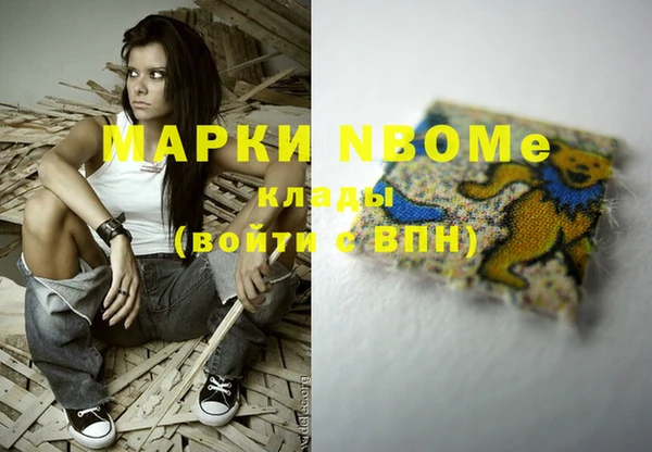прущие грибы Алзамай