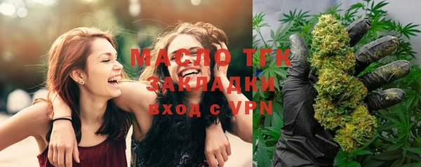 прущие грибы Алзамай