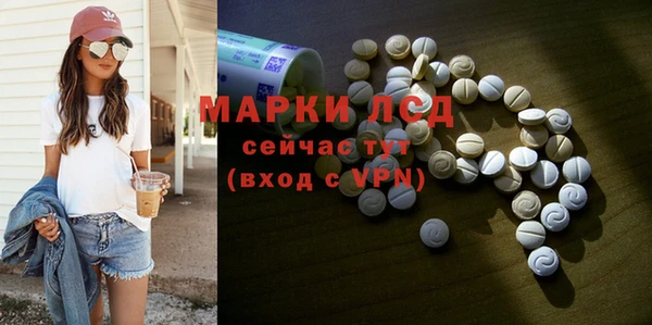 прущие грибы Алзамай