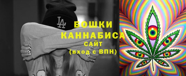 прущие грибы Алзамай