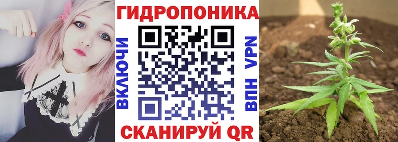 как найти   Иркутск  OMG маркетплейс  Каннабис индика 
